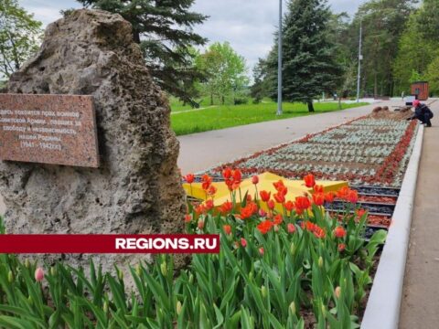 Ко Дню Победы у мемориала «Рубеж обороны» высадили три тысячи цветов Новости Протвино 